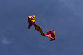  Studio Nikolai Dobreff