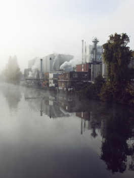  Studio Nikolai Dobreff